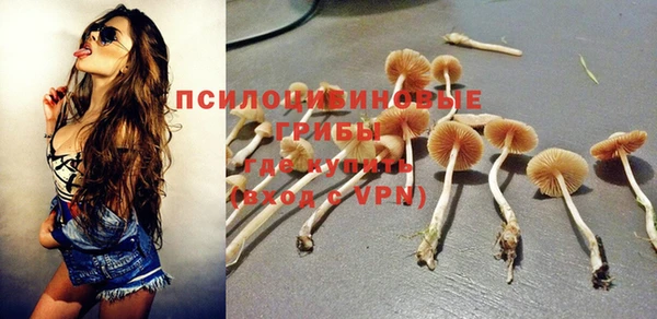 метадон Рославль