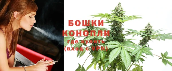 ГАЛЛЮЦИНОГЕННЫЕ ГРИБЫ Козельск