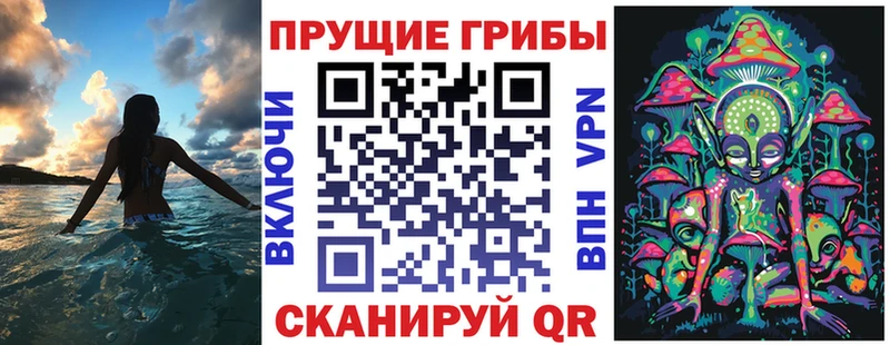 где купить наркоту  Коркино  omg маркетплейс  сайты даркнета наркотические препараты  Псилоцибиновые грибы Psilocybine cubensis 